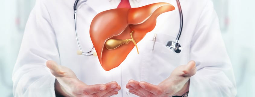 liver